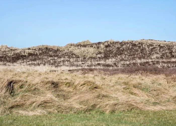 132-thisted-sotungevej-31 Сasa de vacaciones *